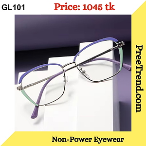 Purple Mint Geometric Metal Eyeglasses Frame for Women & Men – GL101