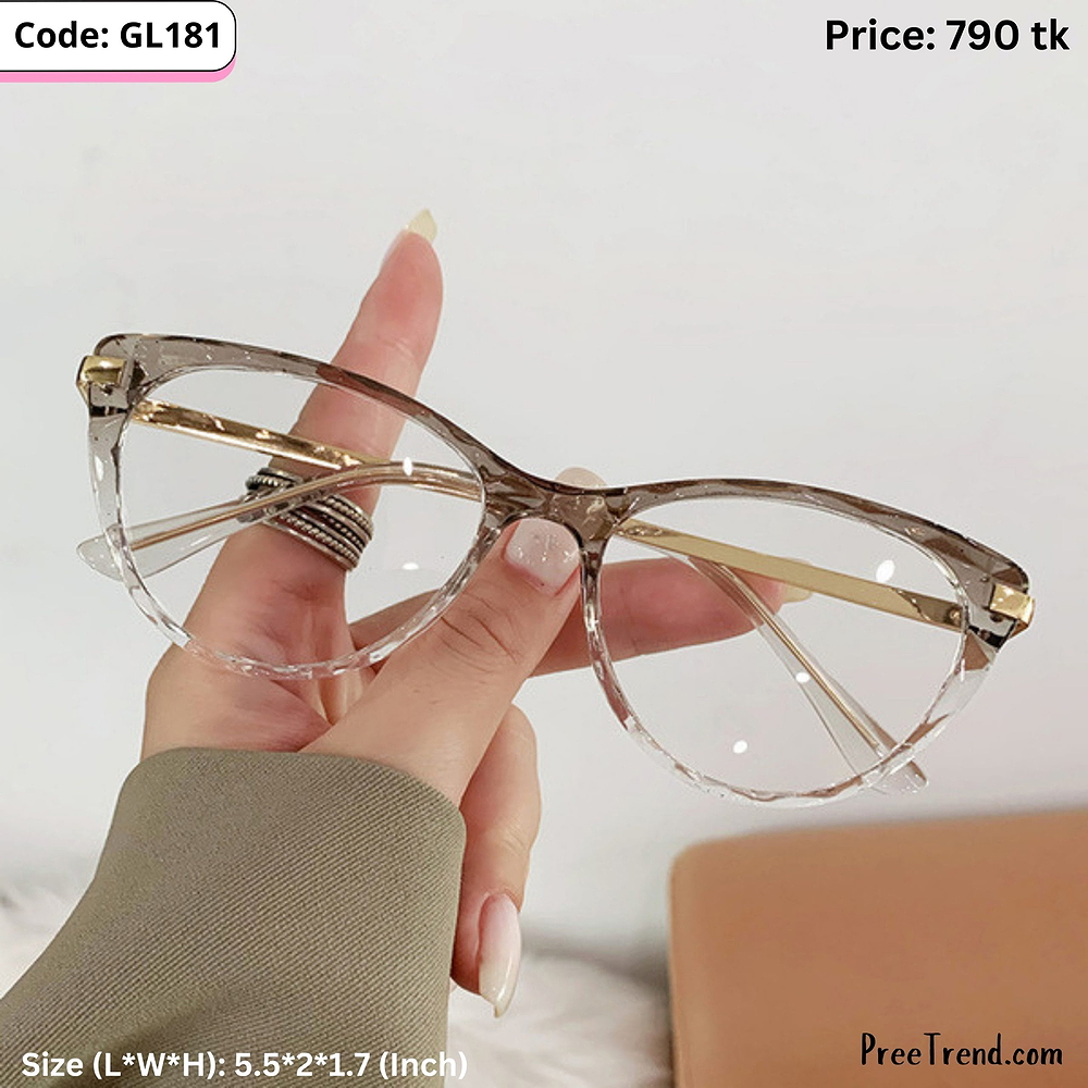 Transparent Gray Cat Eye Plastic Frame with Metal Handle Eyeglasses for Women β GL181