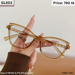 Transparent Tea Cat Eye Plastic Frame Eyeglasses for Women – GL503