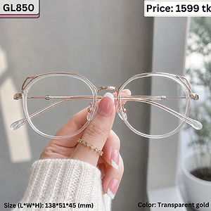 Transparent Gold Geometric Round Cat Ear Plastic and Metal Frame Eyeglasses for Women – GL850